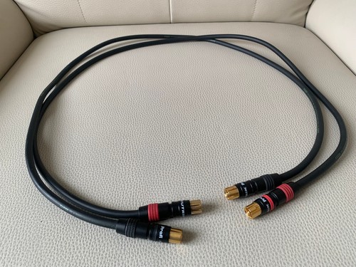 Rega con neutrik cavo - rega,