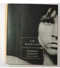 Libro Jim Morrison Tempesta Elettrica Poesie e Scritti Perduti Stampa 2005 292pg