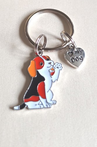 Cute fabulous adorabledog - cute,
