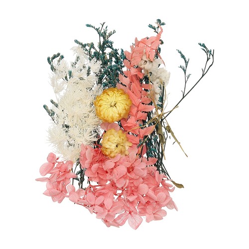 Fiori secchi pressati - fiori,
