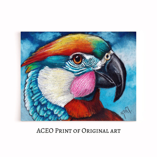 Stampa aceo arte originale - stampa,
