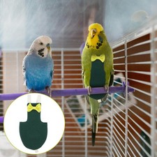 Accessori Pappagalli