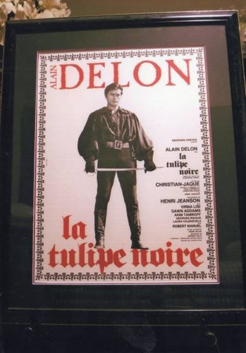 Poster francese tulipano nero
