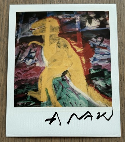 Firmato nobuyoshi araki - firmato,