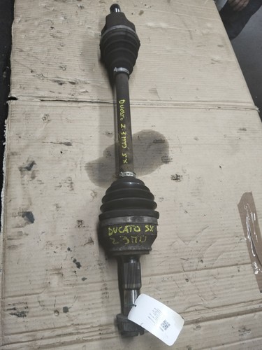 1369961080 semialbero ant - semialbero,