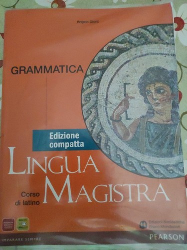 Lingua magistra - lingua,