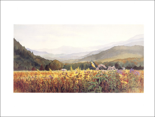 2000 stampa vintage autunno - stampa,