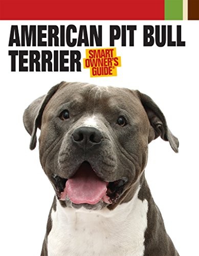American pit bull terrier - bull,