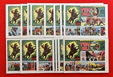 TOM BILL  1/20  (D)  PRIMA