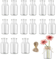 Vaso Di Fiori Piccolo, 16