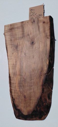 Bastogne walnut slab - bastogne,