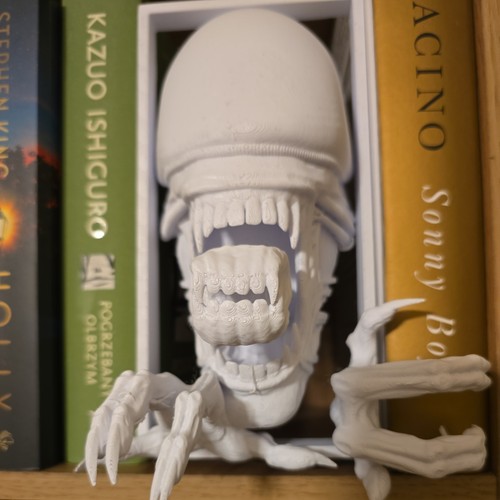 Alien xenomorph romulus - alien,
