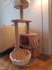 casetta albero tiragraffi per gatto