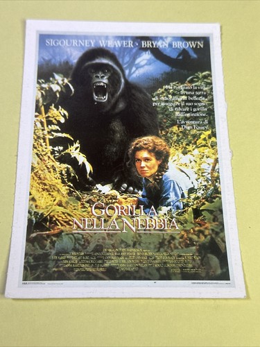 Gorilla nella nebbia - gorilla,