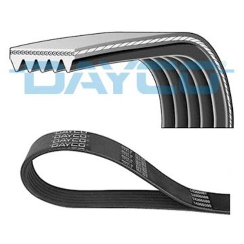 Dayco cinghia scanalata per - scanalata,