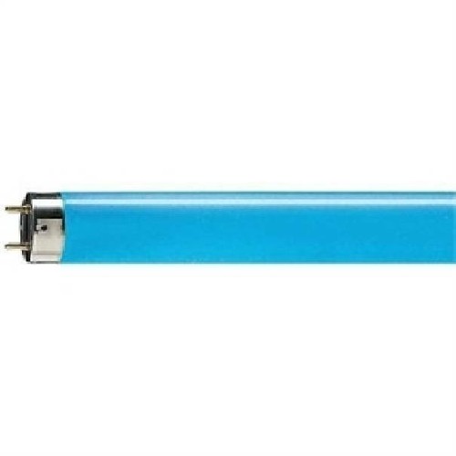 Tubo neon blu - neon, 150cm