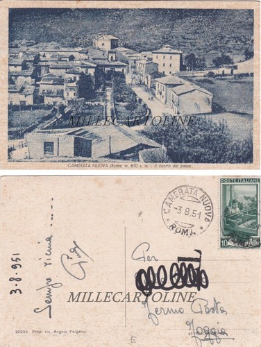Camerata nuova centro del - il,