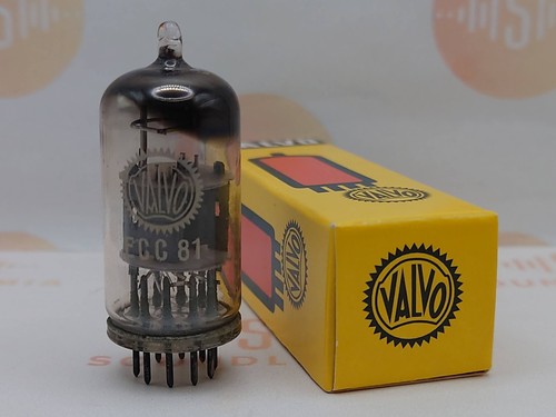 Valvo ecc81 12at7 piatti - valvo,