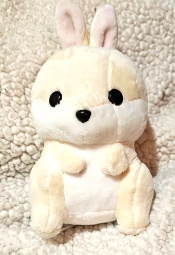 Bellzi dwarf bunni - dwarf, bunny