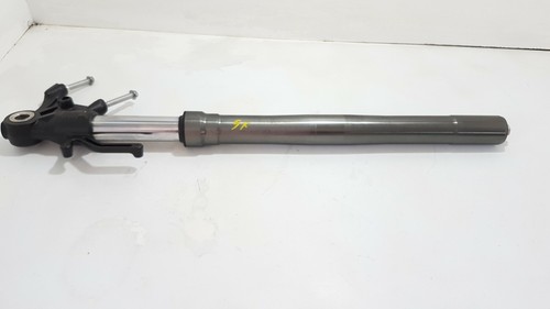 44071127539f gamba stelo - 44071127539f,