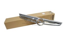 Modanatura griglia radiatore