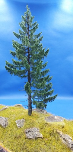 Albero modello abete rosso - abete,