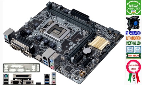Scheda madre socket - socket, asus