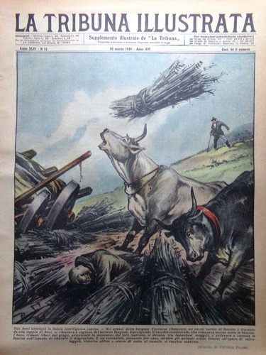 Tribuna illustrata marzo - la,