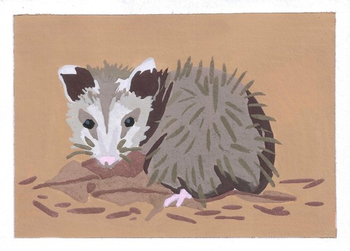 Aceo print animale astratto - aceo,
