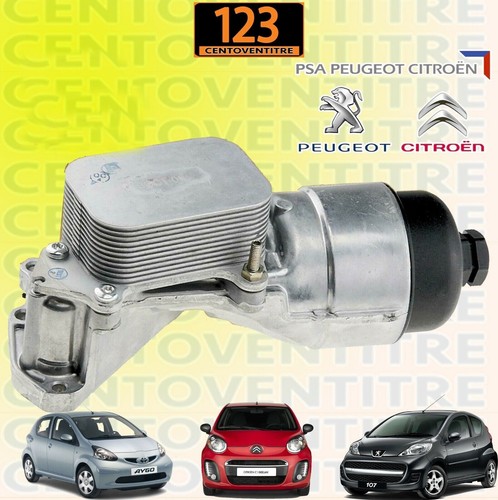 Scambiatore calore citroen - di,