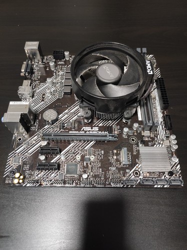 Scheda madre asus prime - madre,