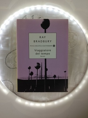Viaggiatore del tempo ray - del,
