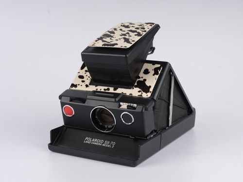 Conversione pellicola polaroid - conversione,