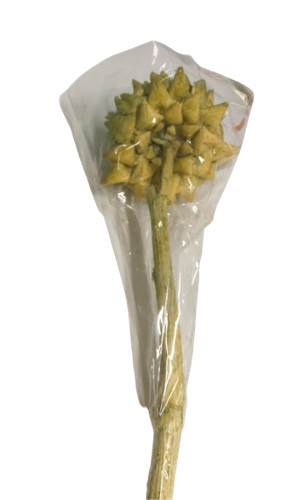 Carciofi grossi d12 - d12/18, con