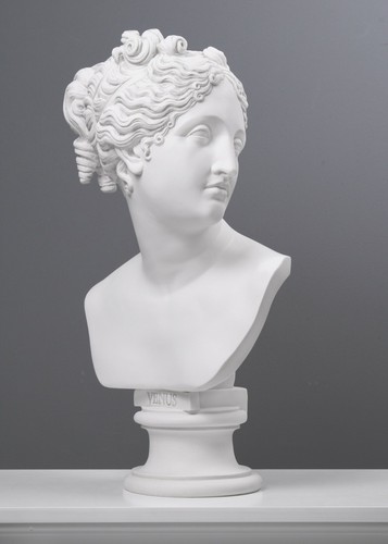 Statua busto venere - di,