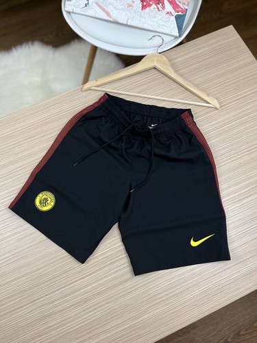 Nike manchester city - nike,