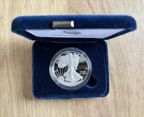 2013 silver american eagle - silver,