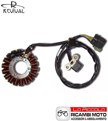 Statore magnete accensione - statore,