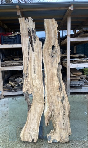 Tavole legno ulivo max - 2, di