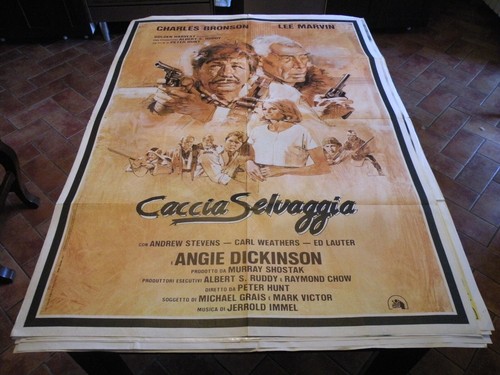 Manifesto caccia selvaggia - caccia,