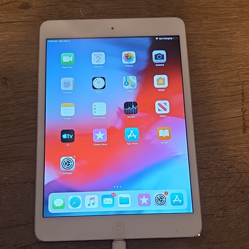 Apple ipad mini - apple,