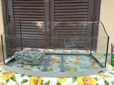 acquario e pompa filtrante