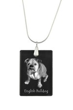 Bulldog, Inglese Bulldog -