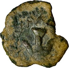 Il biblico "L'acaro della