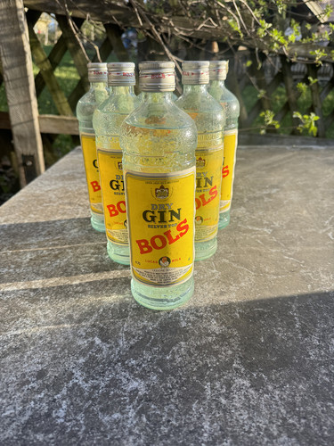 Bols dry gin silver top - bols,