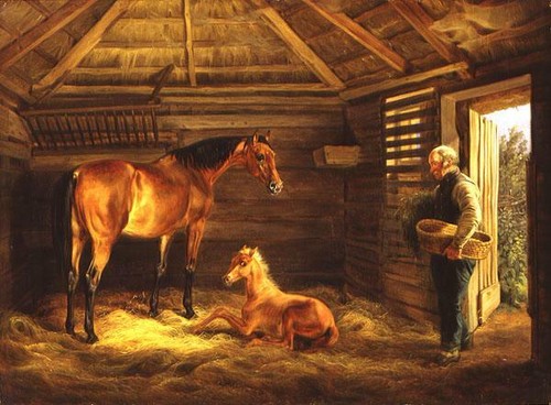 Dipinto olio cavallo stalla - in,