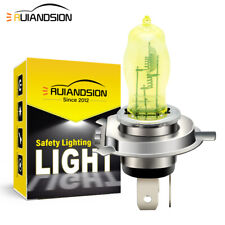Ruiandsion H4 lampadina