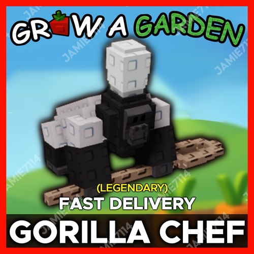 Gorilla chef più economico - gorilla,
