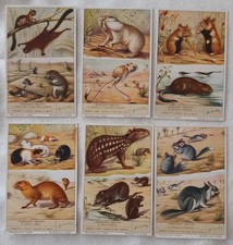 LOTTO FIGURINE LIEBIG SERIE N. 1600, 1632, 1692 E ALTRE SFUSE LIEBIG E ABAFIL