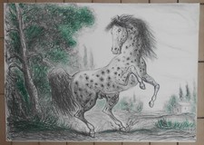 GIOVAN FRANCESCO GONZAGA LITOGRAFIA FIRMATA E NUMERATA CM. 50 X 70 CAVALLO 